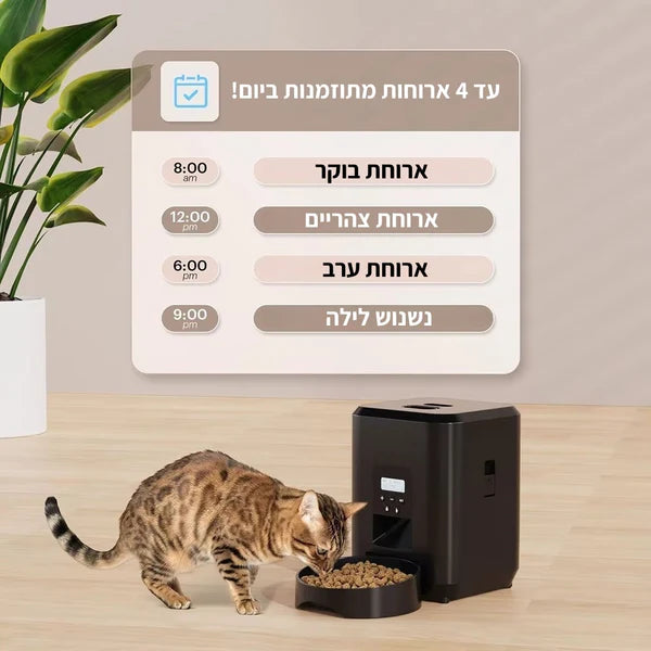 ™Vetify - מאכיל אוטומטי