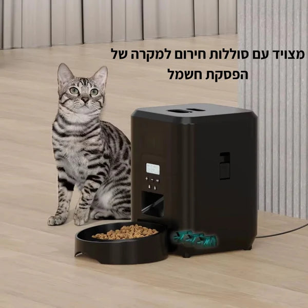 ™Vetify - מאכיל אוטומטי