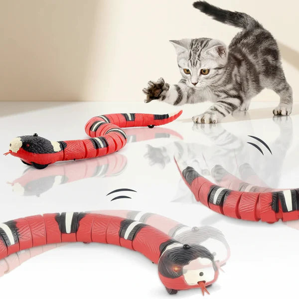 הסמארט קט - נחש אינטראקטיבי